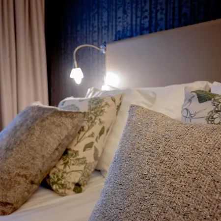 酒店 & 伊卡利宁